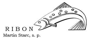 1768809551479_Ribon logo.png