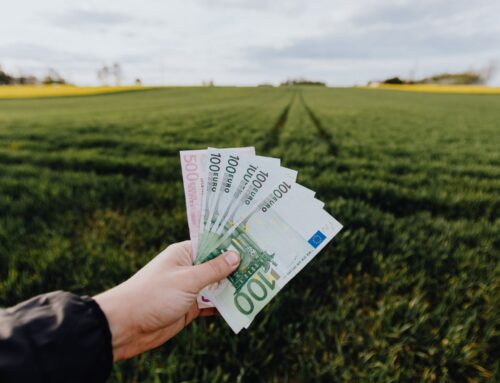 P1-2 plus 2026 | Garancije Sklada za bančne kredite s subvencijo obrestne mere