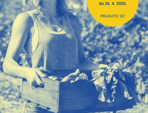 Program EWA – Empowering Women in Agrifood