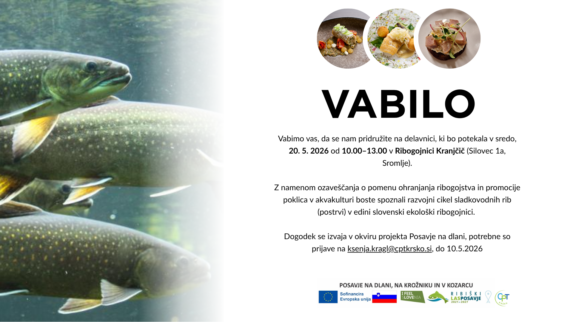 Vabilo, delavnica Kranjčič